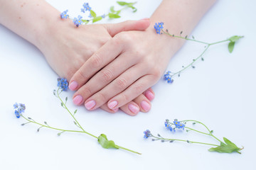 beautiful soft hands of a woman and forget me nots flowers skincare
