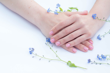 beautiful soft hands of a woman and forget me nots flowers skincare