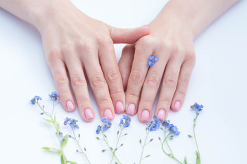 beautiful soft hands of a woman and forget me nots flowers skincare