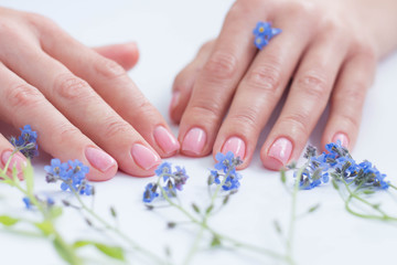 beautiful soft hands of a woman and forget me nots flowers skincare