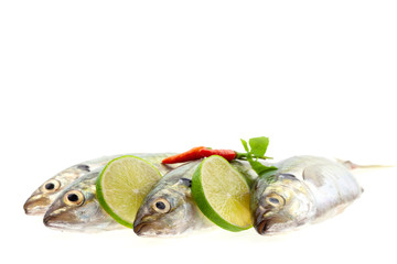 Fresh fish with lemon and leaf isolated on white background,concept cooking background