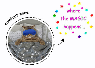 The tired cat with a blue funny sleep mask is in bed under the blanket. Where the magic happens.