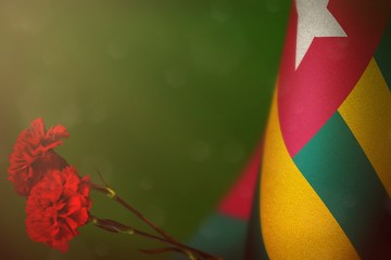 Togo flag for honour of veterans or memorial day with two red carnation flowers  mockup. Glory to Togo heroes of war concept on green dark velvet.