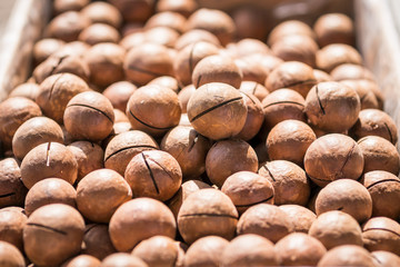 organic macadamia nuts in shell. Macadamia nuts in the sun.