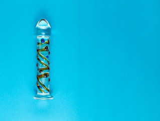 Beautiful evenly lit glass dildo on a plain blue background with copy space.