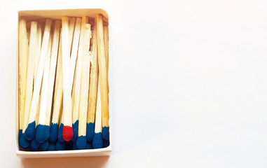 Blue matches and one match of red color in a box. Difference, self respect and acceptance concept. Copyspace on the right side of the image for designers. Uniqueness and individualism concept.