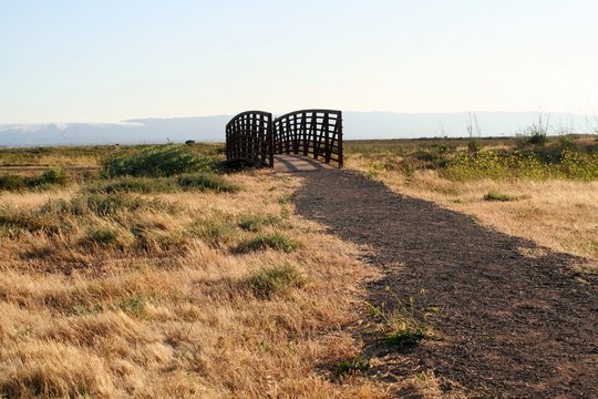 Small Bridge At Don Edwards San Francisco Bay National Wildlife Refuge