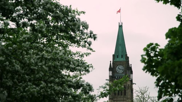 Peace Tower on Canada's Parliament Buildings seen from Major's Hill Park