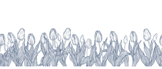 Horizontal graphic vector seamless line pattern with flowers