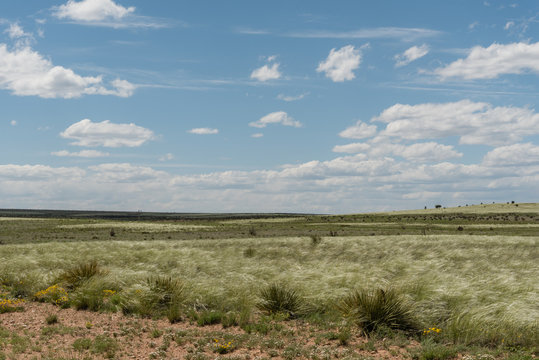Beautiful New Mexico vista in springtime
