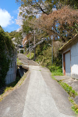 和束天満宮への道　京都　お茶　抹茶　緑茶