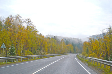 Mountain road passing through the autumn forest. View from the cab of the car.