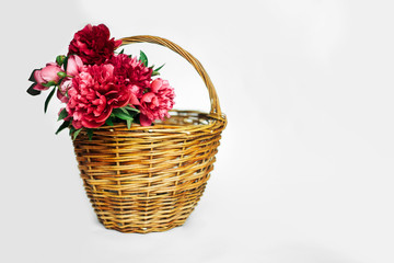 Fototapeta na wymiar Bouquet of living coral and pink peonies in a basket of wicker on a white background