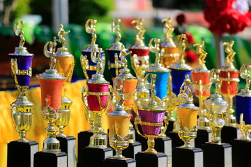 Many colorful sports trophies, football, Petanque, volleyball, rattan ball