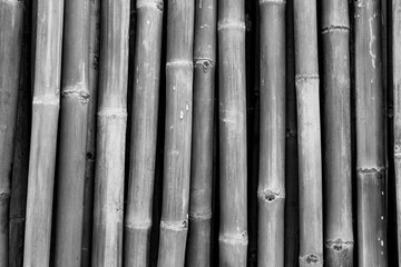 Dried bamboo pole texture background. Grey background for death, sad, peaceful, tranquil. Asian style bamboo fence design. Dried bamboo pole for home decor. Fencing natural materials