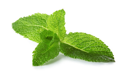 Green mint leaves on white background