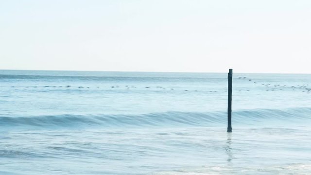 Single pole from a broken jetty mooring stands in the ocean as behind it seabirds migrate.