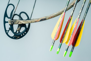 Compound Bow & Arrow Close-Up