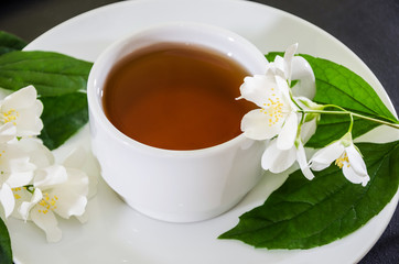 cup of tea with jasmine on a black background, close-up