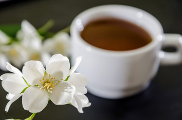 cup of tea with jasmine on a black background, close-up