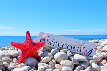 sea shells on the beach