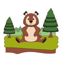 Bear wildlife cute animal cartoon