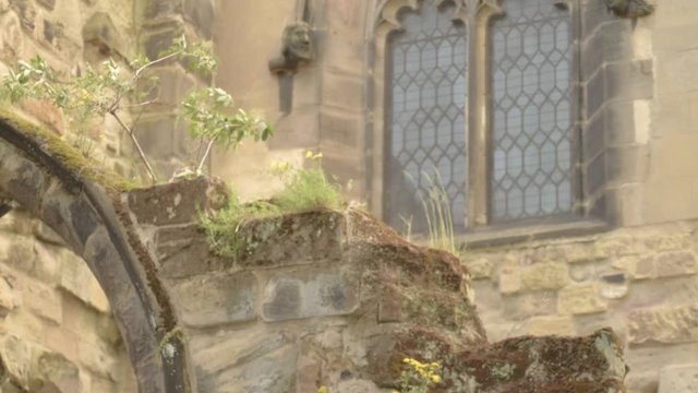 Overgrown English church with archway and stained glass windows