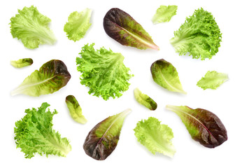 Fresh lettuce leaves isolated on white background. Pattern with salad leaves. - obrazy, fototapety, plakaty