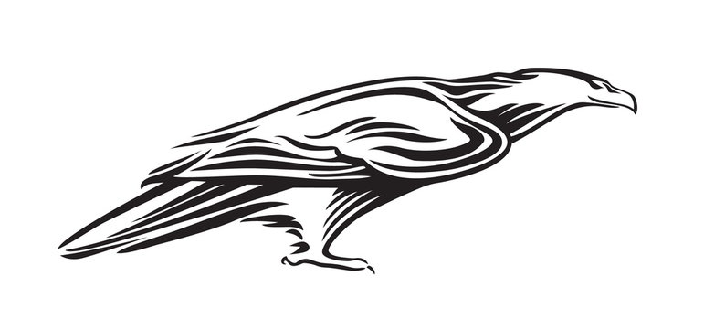 Stylized silhouette of eagle. Vector animal illustration, black isolated on white background. Graphic image for tattoo, logo or mascot. Symbol of power and freedom