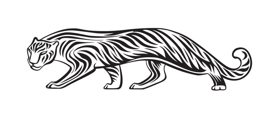Stylized silhouette of tiger. Vector animal illustration, black isolated on white background. Graphic image for tattoo, logo or mascot. Symbol of power and freedom