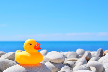 yellow rubber duck on the beach