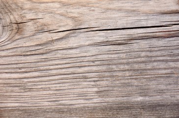 Fototapeta premium texture wood