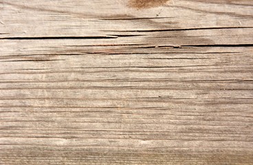 texture wood