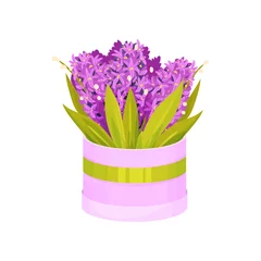 Muurstickers Hyacint Boeket paarse hyacinten in een ronde doos. Vectorillustratie op witte achtergrond.