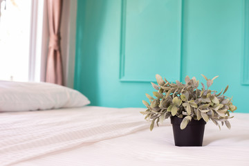 plant pot on white bed in bedroom at home, copy space.
