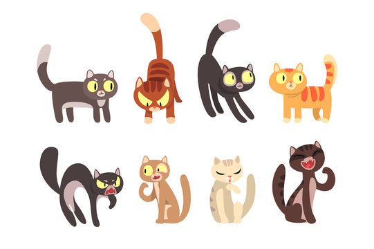 Flat vector set of different cats. Funny cartoon characters. Home pets. Cute domestic animals. Elements for poster, sticker or mobile game