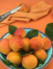 schüssel mit reifen aprikosen, küchentuch und obstmesser auf einem aprikotfarbenen stuhl