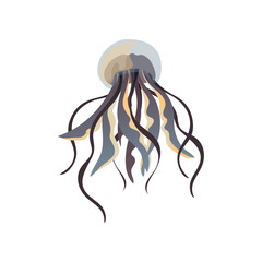 Blue translucent jellyfish closeup. Vector illustration on white background.