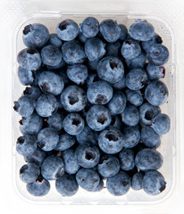 Blueberries in a plastic container.