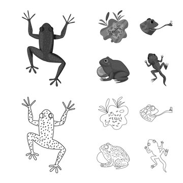 Vector illustration of wildlife and bog logo. Set of wildlife and reptile stock vector illustration.