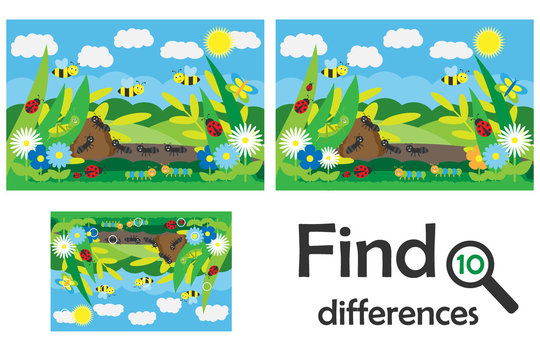 Find 10 differences, game for children, insects in cartoon style, education game for kids, preschool worksheet activity, task for the development of logical thinking, vector illustration