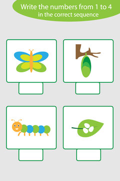Visual game with life cycle of butterfly pictures for kids, educational task for the development of logical thinking, preschool worksheet activity, write numbers, vector illustration