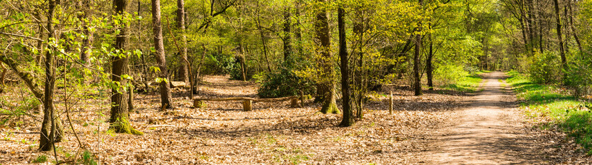 panorama Nature park De Zanding in Otterlo, The Netherlands