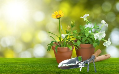 Gardening equipment.