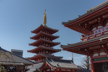 Fototapeta na wymiar Asakusa temple in Tokyo