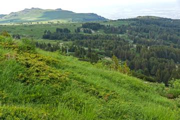 Amazing Summer Landscape of Vitosha Mountain, Sofia City Region, Bulgaria