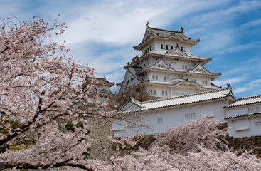 Naklejka premium Himeji Castle in Japan