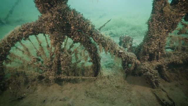 S&uuml;sswasserwrack