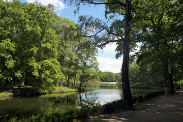 volkspark jungfernheide