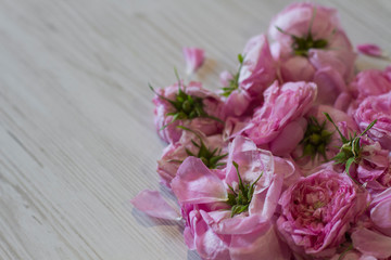 dry tea rose pink flowers on wooden